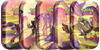 Pokémon Scarlet & Violet 6.5 Shrouded Fable Mini Tins- Englisch