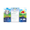Pokémon GO Radiant Eevee Premium Collection Box - EN1